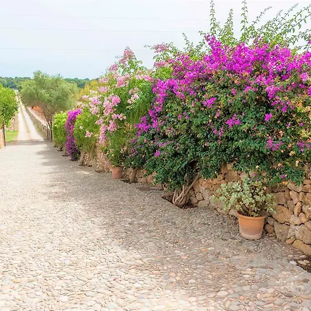 Villa Sa Mata Grossa Campanet