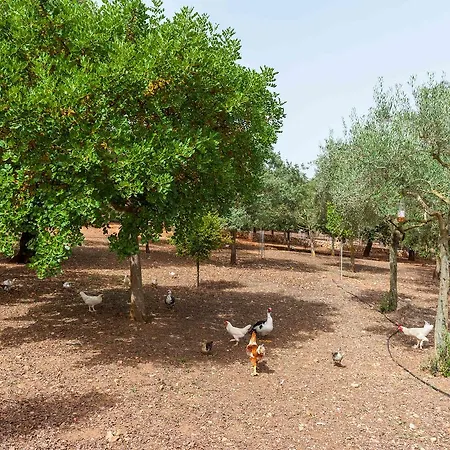 Sa Mata Grossa Villa